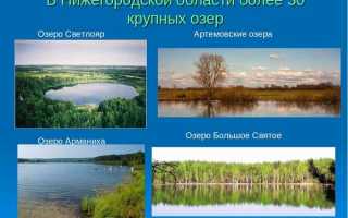 Реки и озёра Нижегородской области: природа и экосистема